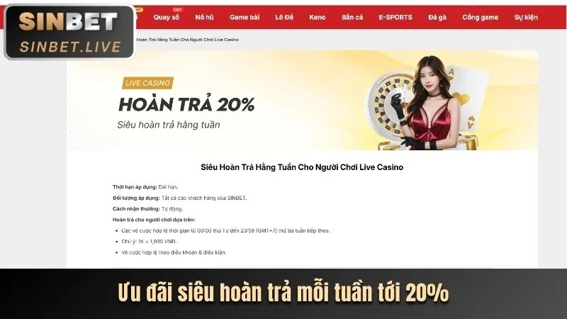 Khuyến mãi đặc biệt theo sự kiện 77pet